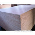 18 mm de madera bintangor barata de madera contrachapada